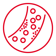 Natural Pharmaceuticals CholestControl™ Punase kontuuriga illustration veresoone ja vererakkudega, kujutades verevarustust ja vereringet.