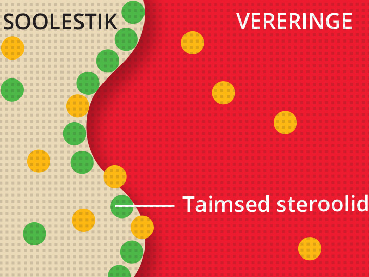 Natural Pharmaceuticals CholestControl™ Skeem taimedest steroolidest soolestikus ja nende ülekandest vereringesse rasvlahustuvana molekulidena.
