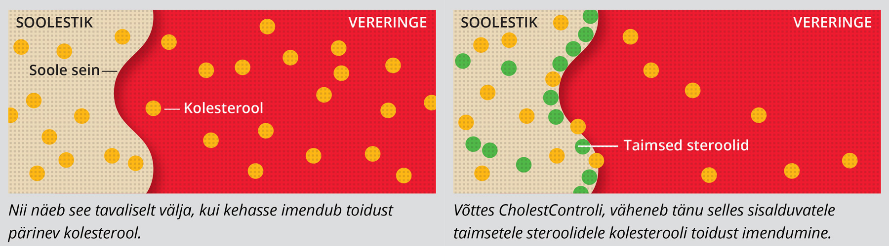 Natural Pharmaceuticals CholestControl™ Kuvatakse sooleseina ja vereringe kahe diagrammi võrdlus kolesterooli ja taimsete steroolide imendumisel.